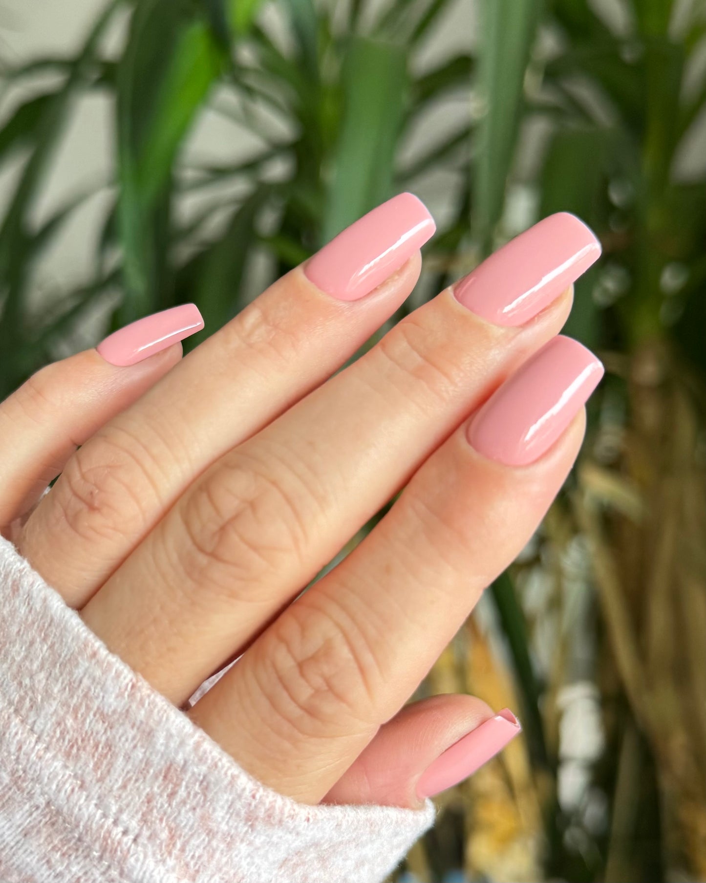 Rose Nude - Press-on Nails
