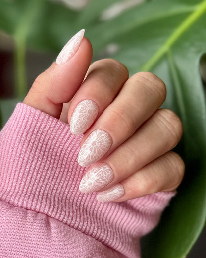 Daisy Dreams - Press on Nägel