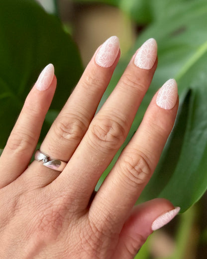 Daisy Dreams - Press on Nägel